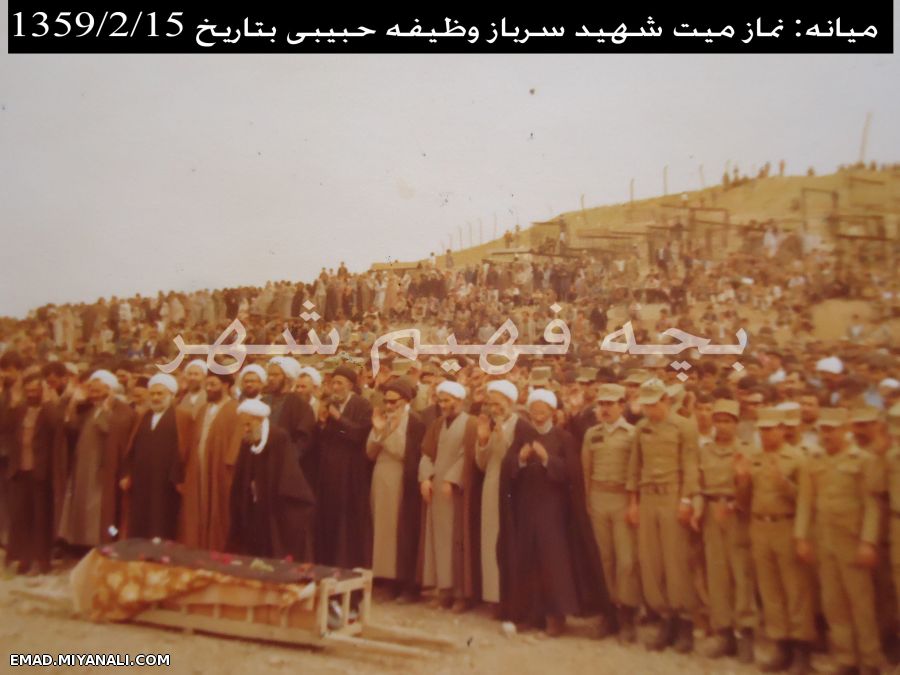 بچه فهیم شهر