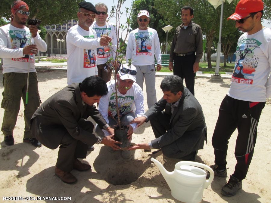 میانه