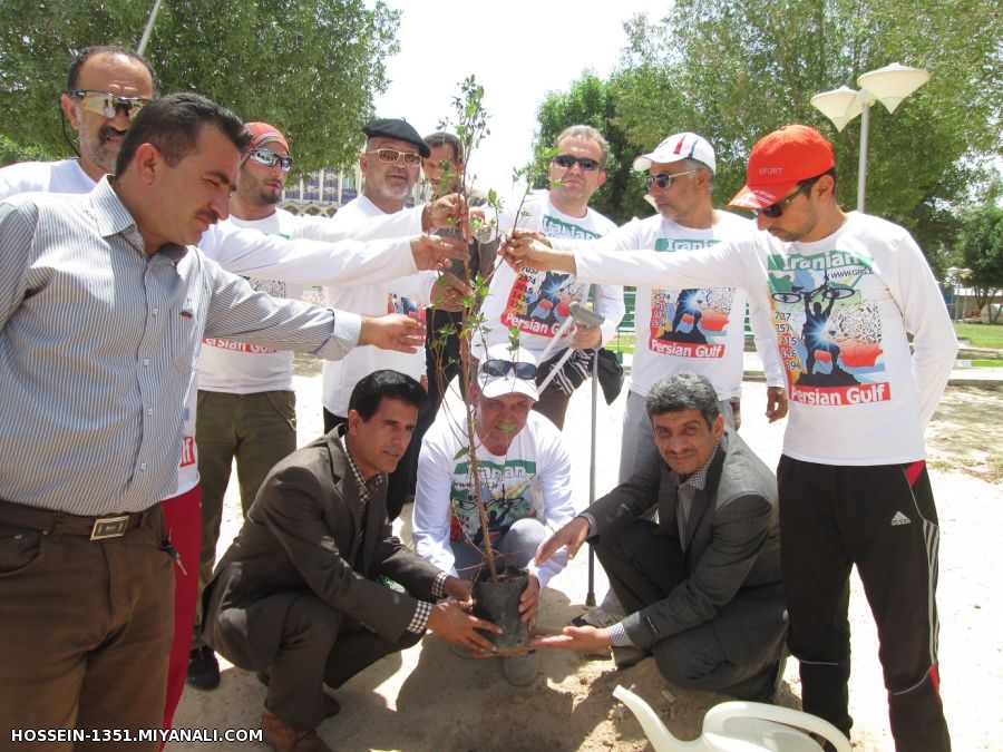 میانه