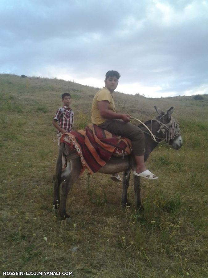 میانه