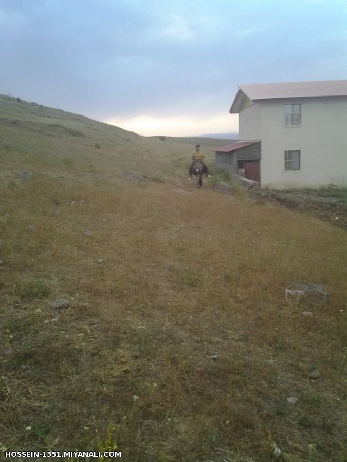 میانه