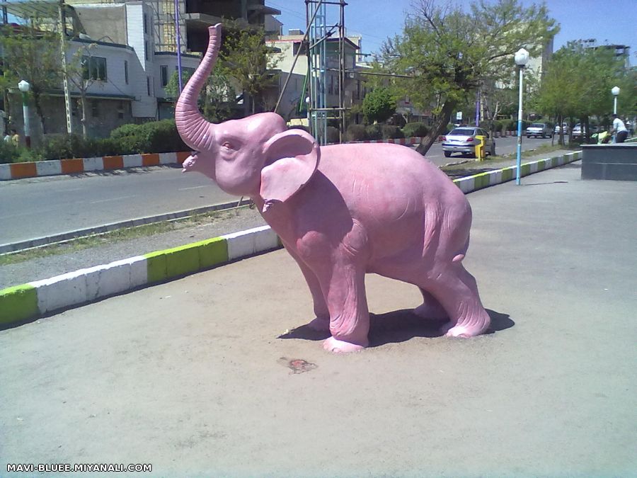 فیل1