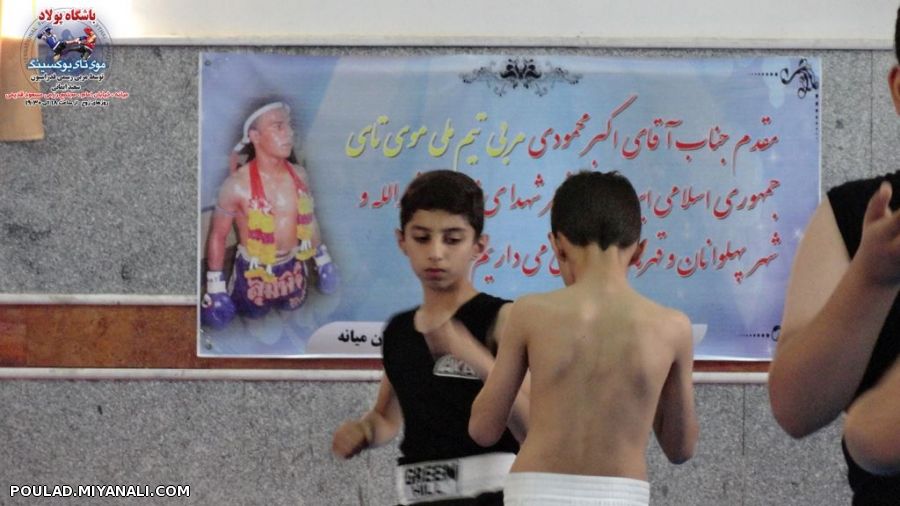 موی