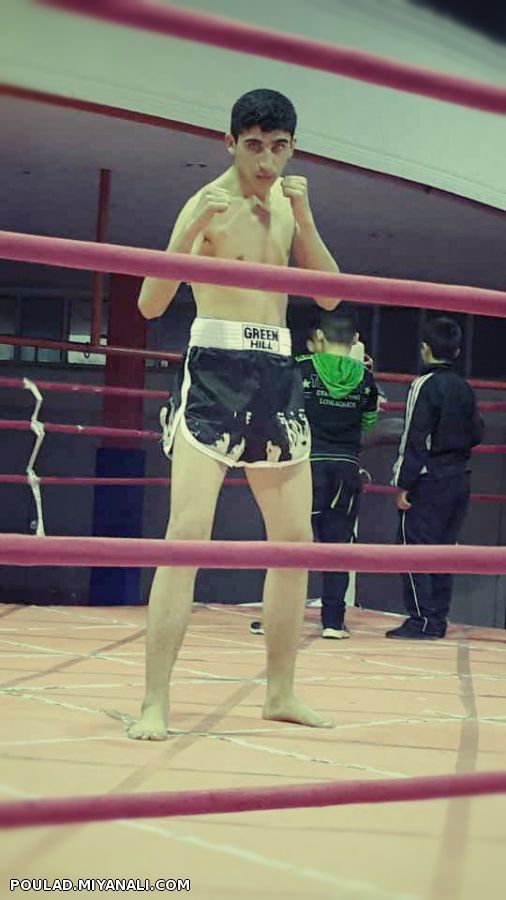 میلاد فردوسی