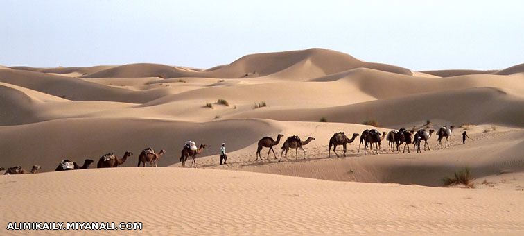 شتر